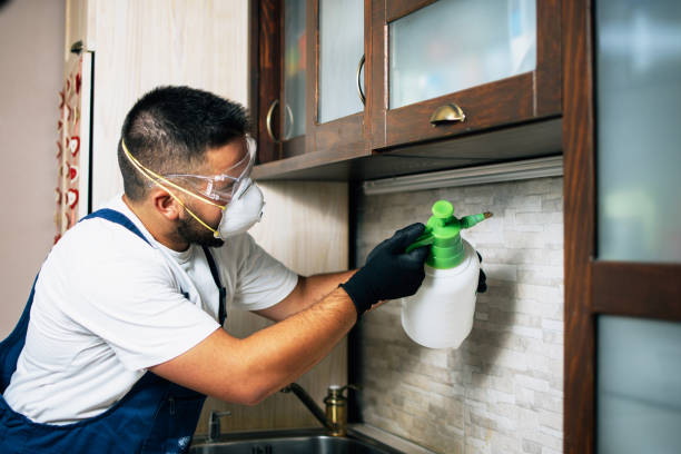 Best Pest Control Cost  in Fearrington Village, NC