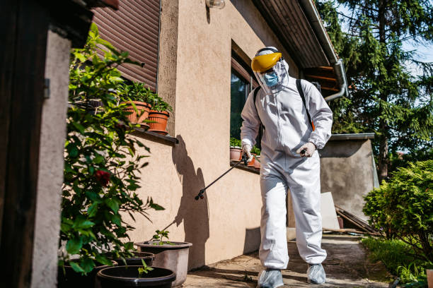 Flea Control Services in Fearrington Village, NC