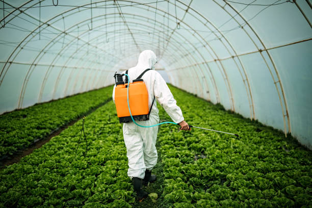 Best Best Pest Control Companies  in Fearrington Village, NC