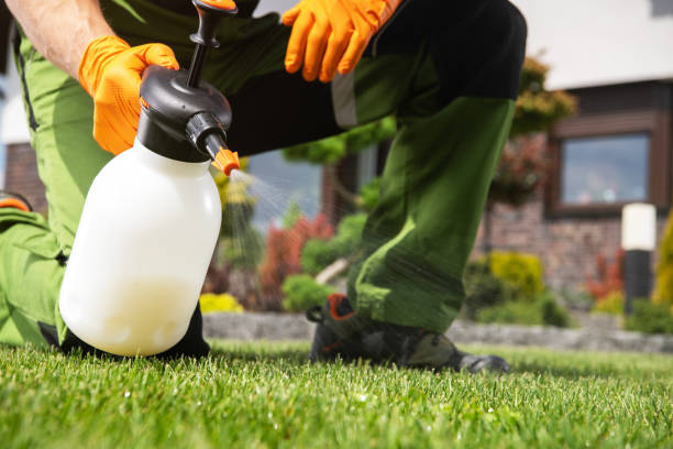 Best Pest Removal Services  in Fearrington Village, NC