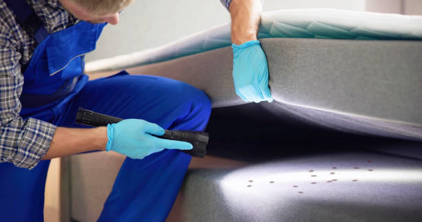 Best Commercial Pest Control Services  in Fearrington Village, NC