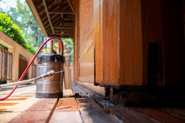 Best Best Pest Control Companies  in Fearrington Village, NC