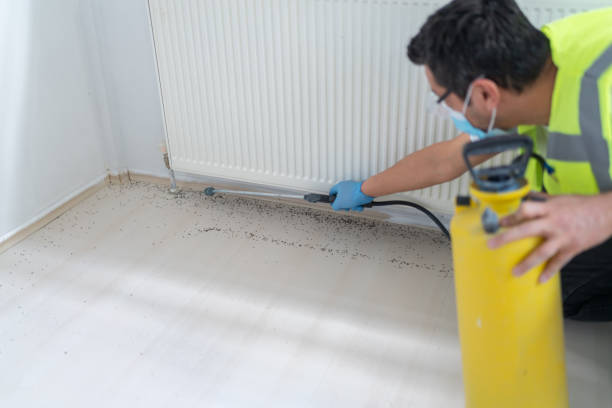 Best Pest Inspection Near Me  in Fearrington Village, NC