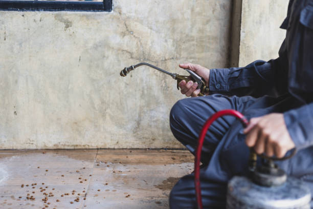Best Emergency Pest Control  in Fearrington Village, NC